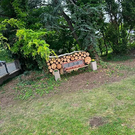 Kontinental C * Bad Harzburg